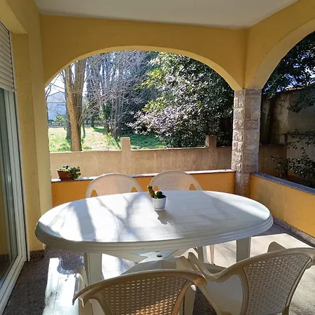 David * Privlaka (Zadar)