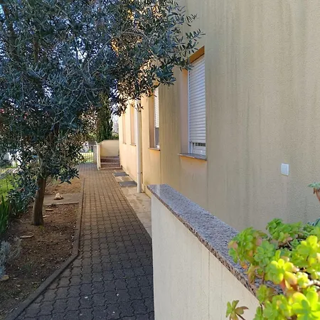 David Apartament