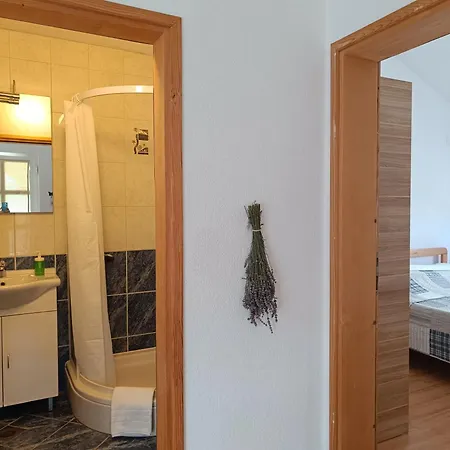 Apartament David *