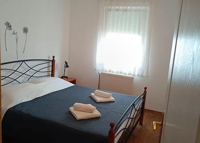 David Privlaka (Zadar)