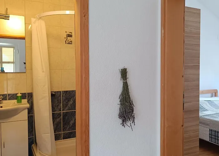 Apartman David *