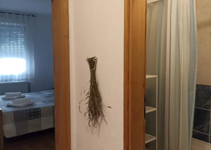 David Apartman Privlaka