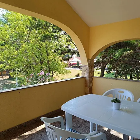 David Privlaka (Zadar)