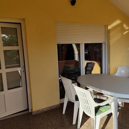 David Privlaka (Zadar)