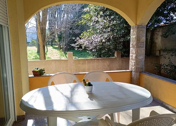 David * Privlaka (Zadar)