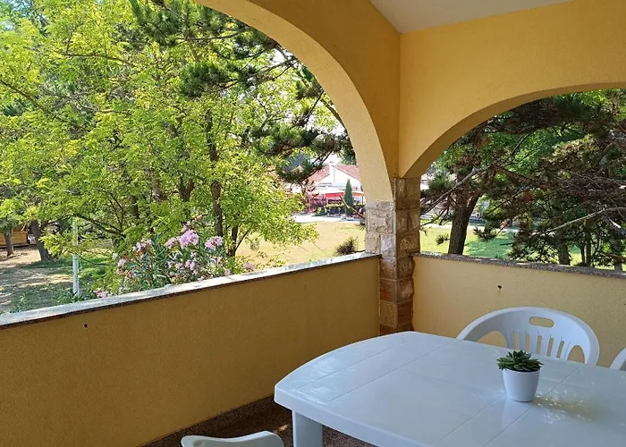 David Privlaka (Zadar)