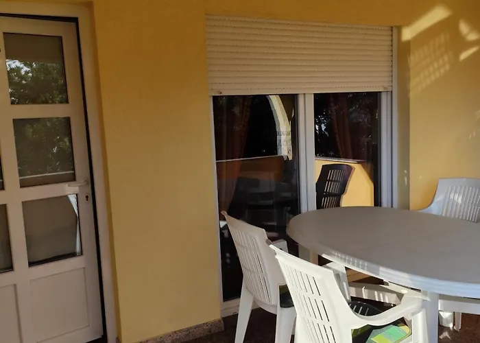 David Privlaka (Zadar)